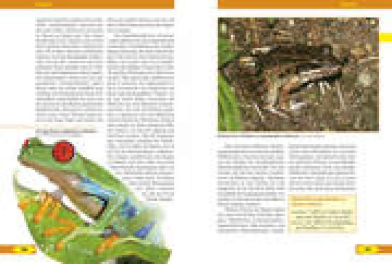Costa Rica – Naturreiseführer